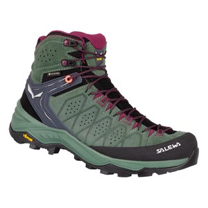 Footwear: Salewa Alp Trainer 2 Mid GTX