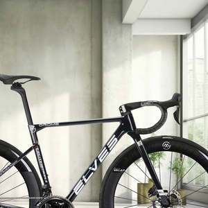 Elves Bikes Wheels Bars: Elves Vanyar PRO Disc Carbon Road Frameset