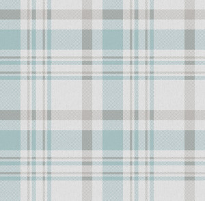 1906-1 PLAID Trimtex