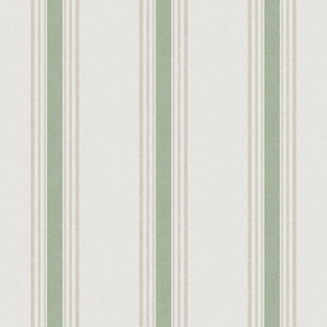 1909-5 HANA STRIPES Trimtex