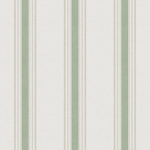 Products: 1909-5 HANA STRIPES Trimtex