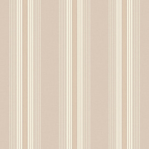 4310-1 NOMAD STRIPES Trimtex