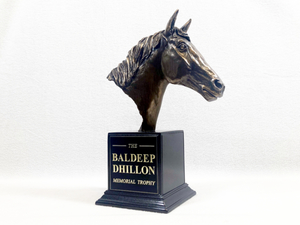 Animals – Trophy Specialists & Engraving: Horse Head Trophy