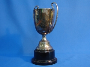 Products: Silver Cup Cleaning