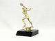 Badminton Trophy