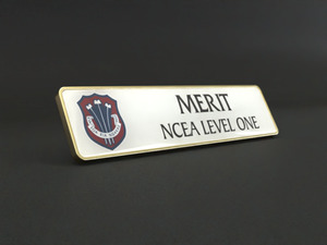 Corporate Crystals – Trophy Specialists & Engraving: Rectangular Lapel Badges (50mm x 12mm)