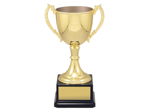 Products: Gold Cup