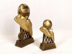 Figurines & Resin Trophies – Trophy Specialists & Engraving: Diego Netball Award
