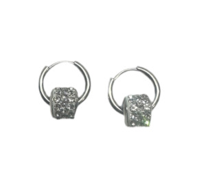 Small Stainless Steel Hoop Earrings With Rhinestone Pendant Silver