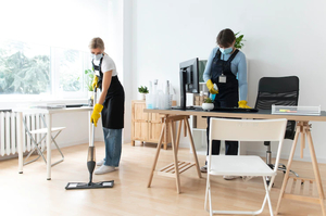 Products: Move Out Cleaning Service - End of Tenancy Wellington, Auckland