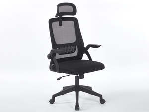 Office Chairs: Ergo Office Chair - Black