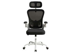 Molina Mesh Task Chair - White + Black