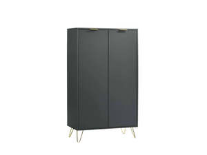 Zinnia 2-Door Shoe Storage Cabinet