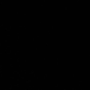 Products: Black Night
