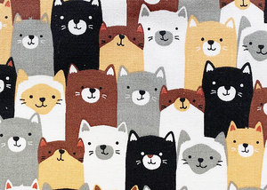 Cats or Llamas