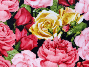 Maisies Garden