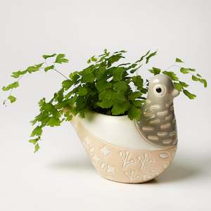 Featured: Bonita Planter - Grey