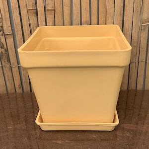 Accessories: 15cm Gold Square Planter/Saucer