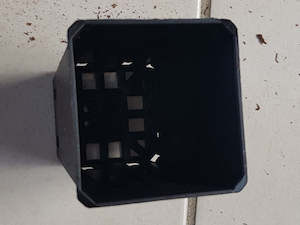 4.4cm Square Black growing tube