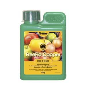 Fertilisers Plant Food And Supplements: FreeFlo Copper - 100g