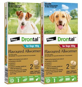 Health Remedies Homeopathics: Drontal for Dogs and Puppies: treats and controls gastrointestinal worms