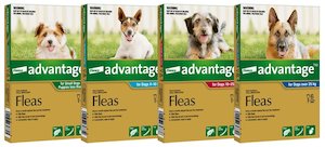 Advantage Topical Flea Treatment for Puppies and Dogs