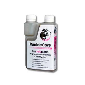 Nutritional Supplements: CanineCare GUT Probiotic 250ml