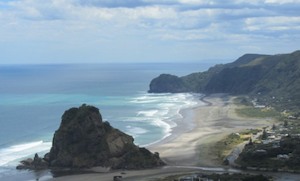 Products: Auckland City and West Coast Highlights