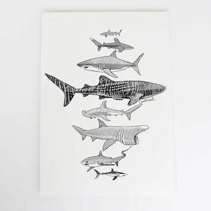 Sharks Collection: Sharks Art Print