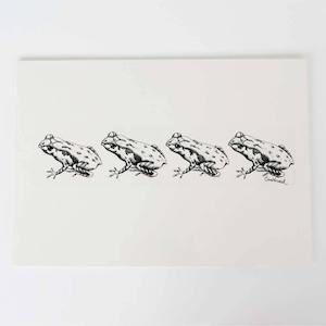 Archeys Frog Collection: Archey's Frog Art Print