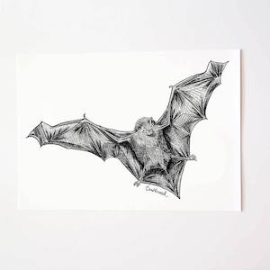 Bat Pekapeka Collection: Bat/Pekapeka Art Print