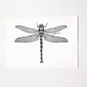 Dragonfly Collection: Dragonfly Art Print