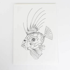 John Dory Collection: John Dory Art Print
