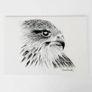 Karearea Nz Falcon Collection: Kārearea/NZ Falcon Art Print