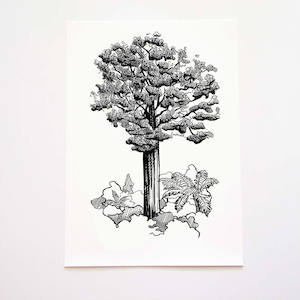 Kauri Collection: Kauri Art Print