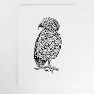 Kea Collection: Kea Art Print