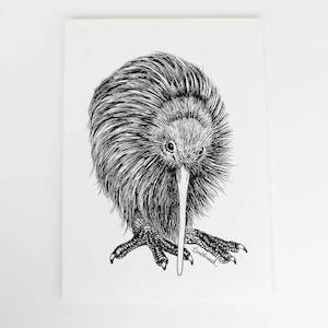 Kiwi Collection: Kiwi Art Print