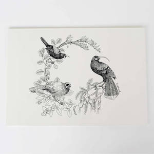 Kokako Huia Saddleback Tieke Collection: Kōkako huia saddleback/tīeke Art Print