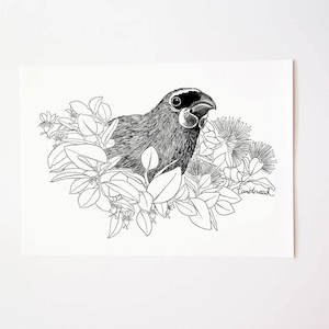 Kokako Collection: Kōkako Art Print