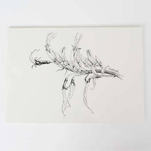 Mountain Flax Collection: Mountain Flax Art Print