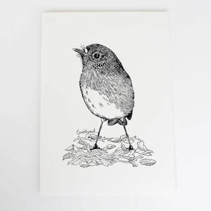 North Island Robin Toutouwai Collection: North Island Robin/toutouwai Art Print