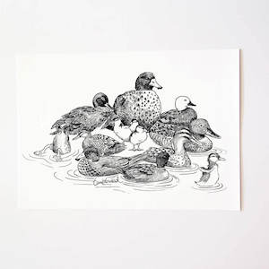 Nz Ducks Collection: NZ Ducks Art Print