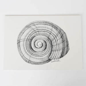 Nz Snail Collection: NZ Snail Art Print