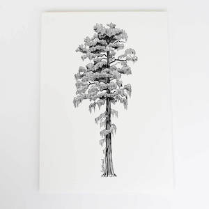 Rimu Collection: Rimu Art Print