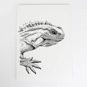 Tuatara Collection: Tuatara Art Print