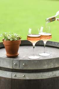 Wines: Rose 2019 (2, 4, 6, or 12 Pack)