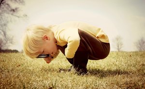 Products: Freedom For Real Estate Website Hosting & Site Maintenance (Annual) - Turner Media