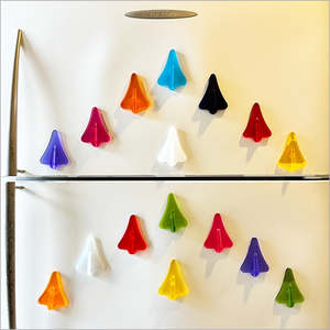 Crystal Ashley - Jet Plane Magnets