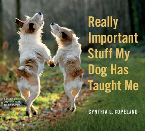 Pets: Really Important Stuff My Dog Has Taught Me