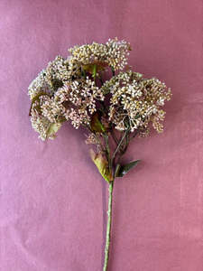 Homewares: Flower Systems | Foliage Spray
